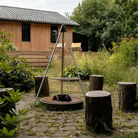 Enjoy The Morning With A Dip In The Sea Odder