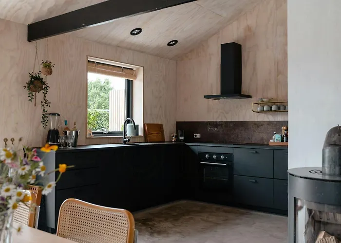 Enjoy The Morning With A Dip In The Sea Odder